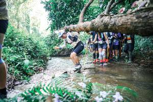 BIB: 
                            <button type="button" onclick="openModal(25468024)" class="btn btn-primary btn-sm float-right btn-popup" data-toggle="modal" data-target=".modal-high-quality">
                        <i class="fas fa-shopping-cart"></i> Add to Cart
                    </button>
                                            <button type="button" onclick="isThisMe(25468024, true)" class="btn btn-success btn-sm float-right btn-popup btn-isme hidden" data-toggle="tooltip" data-placement="bottom" title="นี่คือรูปของคุณใช่ไหม คลิกที่นี่เพื่อเอาเข้าอัลบั้ม">
                        <i class="fas fa-plus"></i> Add to album
                    </button>
                    <button type="button" onclick="isThisMe(25468024, false)" class="btn btn-warning btn-sm float-right btn-popup btn-isnotme hidden">
                        <i class="fas fa-ban"></i> Remove from album
                    </button>